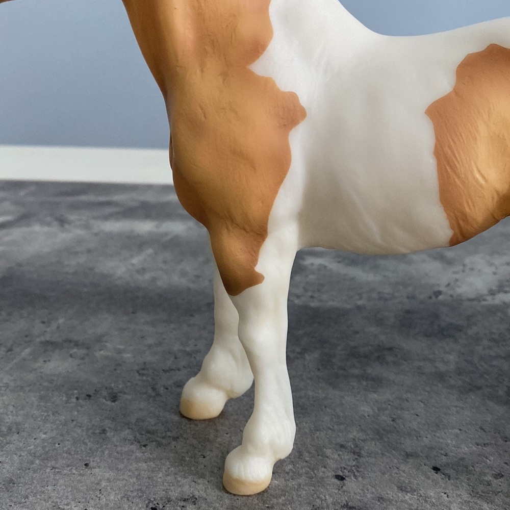 Breyer Creamsicle - Picture 6 of 14